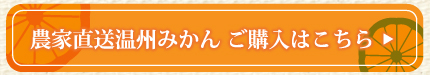 農家直送温州みかんご購入はこちら