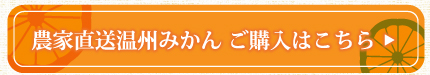 農家直送温州みかんご購入はこちら