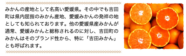 みかんの産地として名高い愛媛県。その中でも吉田町は県内屈指のみかん産地、愛媛みかんの発祥の地としても知られております。他の愛媛県産みかんが通常、愛媛みかんと総称されるのに対し、吉田町のみかんはそのブランド性から、特に「吉田みかん」とも呼ばれます。