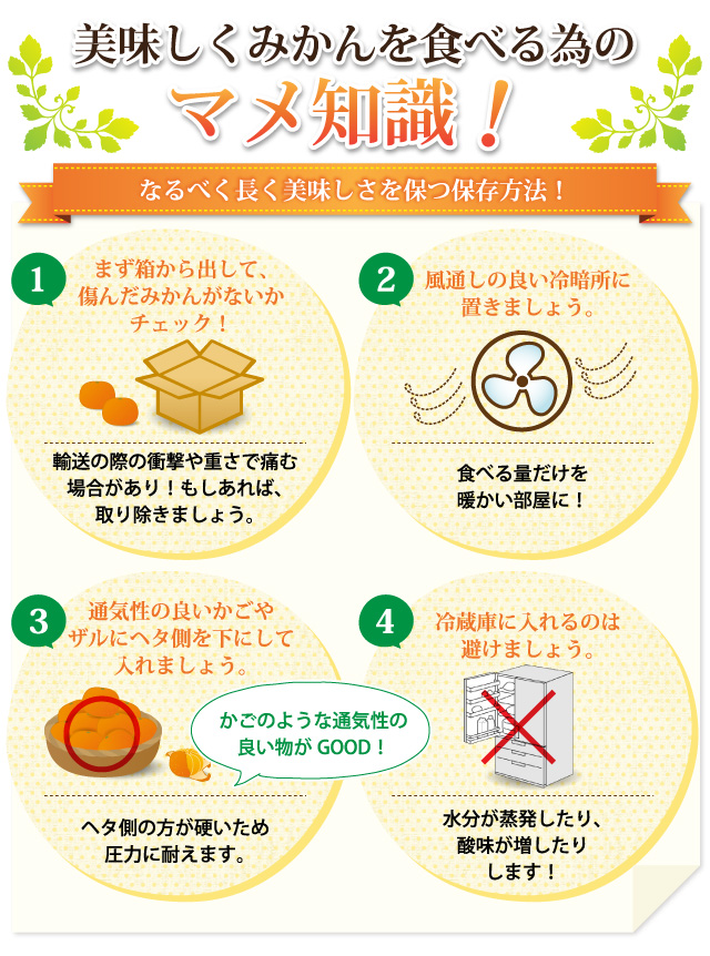 美味しくみかんを食べる為のマメ知識なるべく長く美味しさを保つ保存方法！