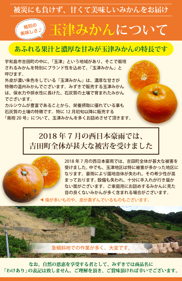 被災にも負けず甘くて美味しいみかんをお届け。別格の美味しさの玉津みかんについて
