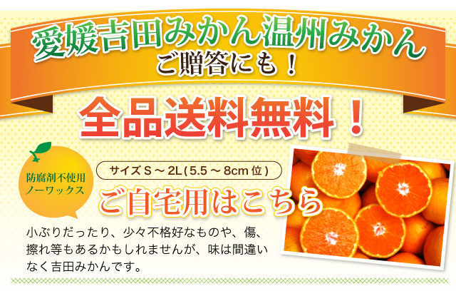 愛媛吉田みかん温州みかんご贈答にも！全品送料無料！ご自宅用3kg/5kg