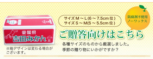 ご贈答用みかん3kg/5kg