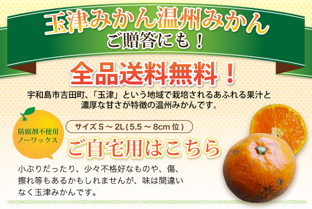 玉津みかん温州みかんご贈答にも！全品送料無料！ご自宅用