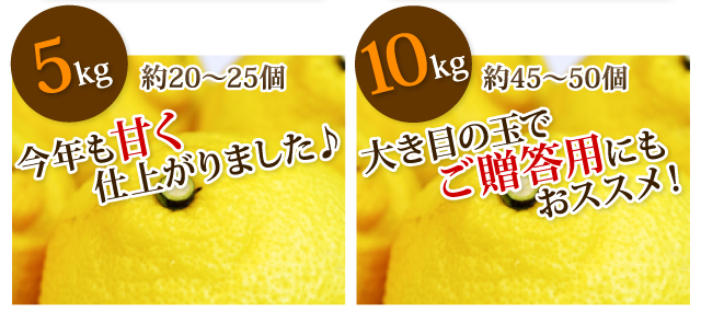 ご贈答はるか5kg/10kg