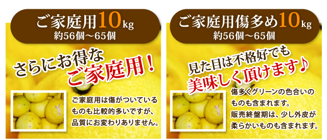 ご家庭用はるか10kg/ご贈答用はるか10kg