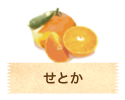 せとか