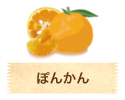 ぽんかん