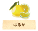 はるか