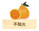 不知火