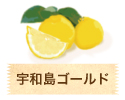 宇和島ゴールド