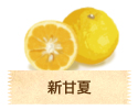 新甘夏