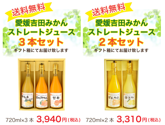 ストレートジュースセット3本・2本