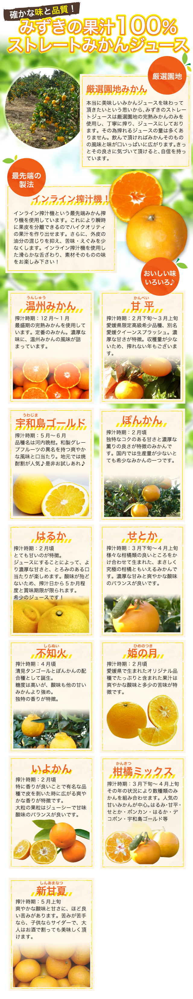 本当に美味しいみかんジュースを味わって頂きたいという思いから、みずきのストレートジュースは厳選園地の完熟みかんのみを使用し、丁寧に搾り、ジュースにしております。その為搾れるジュースの量は多くありません。飲んで頂ければみかんそのものの風味と味が口いっぱいに広がります。きっとその良さに気づいて頂けると、自信を持っています。