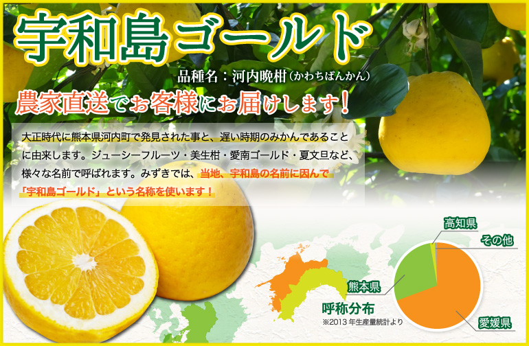 宇和島ゴールド農家直送でお客様にお届けします！