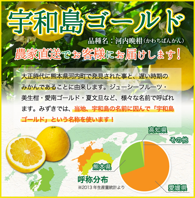 宇和島ゴールド農家直送でお客様にお届けします！