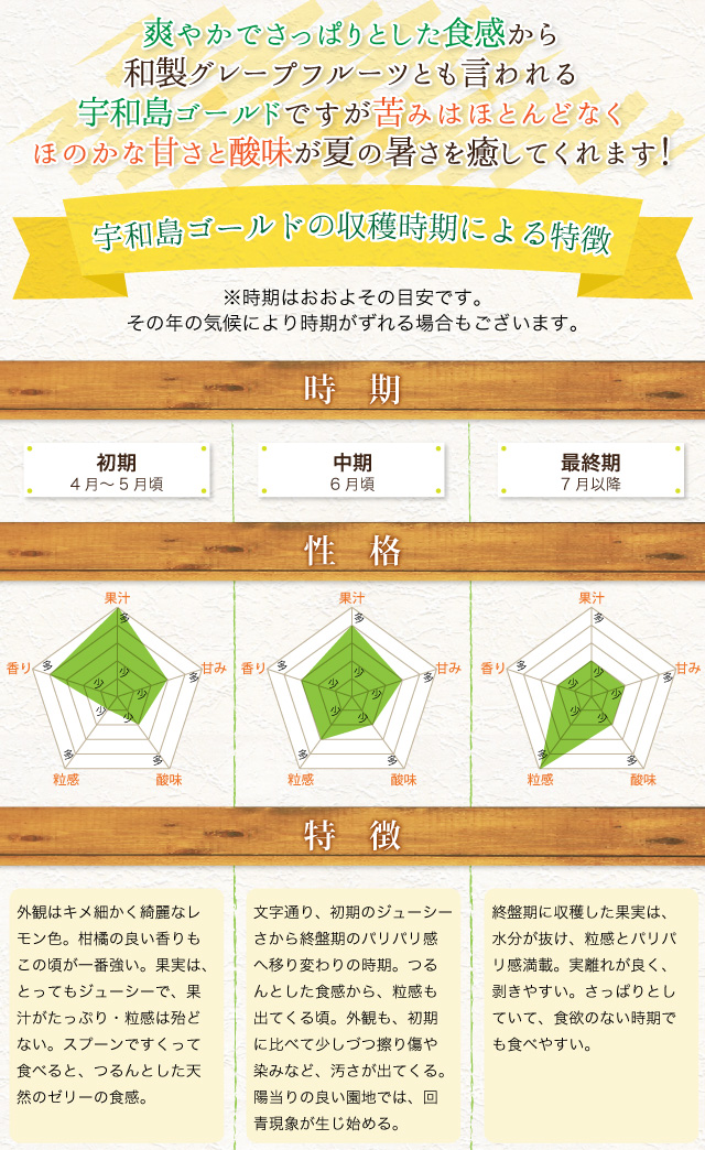 爽やかでさっぱりとした食感から和製グレープフルーツとも言われる宇和島ゴールドですが苦みはほとんどなくほのかな甘みと酸味が夏の暑さを癒してくれます。