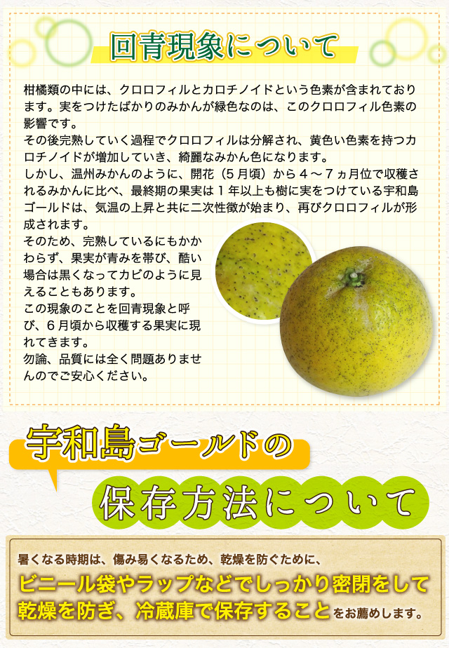 完熟しているにもかかわらず、果実が青みを帯び、酷い場合は黒くなってカビのように見えることもあります。この現象のことを回青現象と呼び、6月頃から収穫する果実に現れてきます。勿論、品質には全く問題ありませんのでご安心ください。