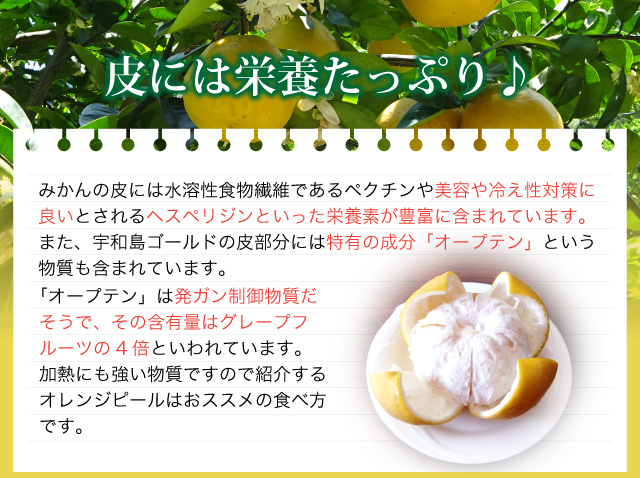 みかんの皮には水溶性食物繊維であるペクチンや美容や冷え性対策に良いとされるヘスペリジンといった栄養素が豊富に含まれています。