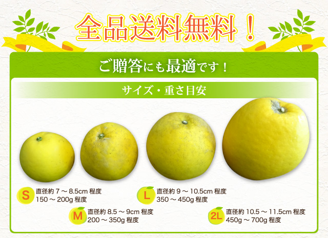 宇和島ゴールド農家直送でお客様にお届けします！