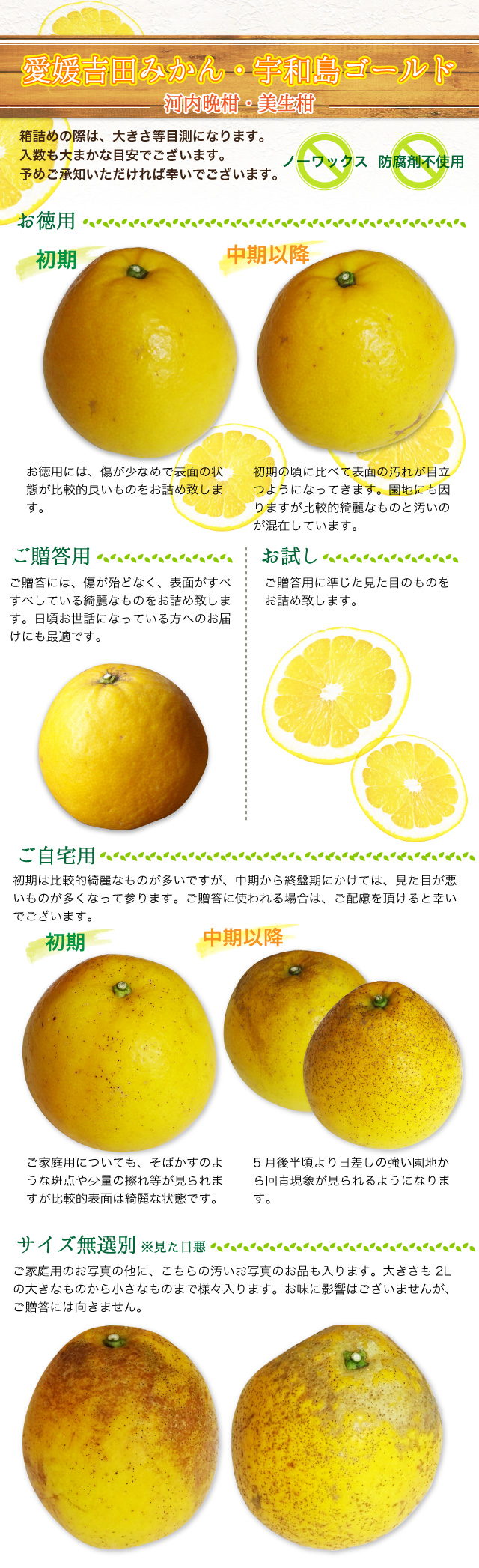 宇和島ゴールド