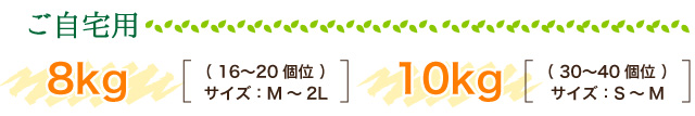自宅用（8kg/10kg）