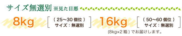 サイズ無差別