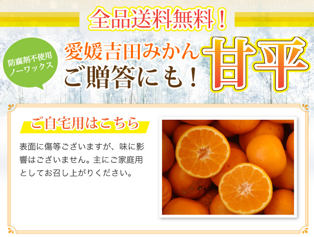 全品送料無料ご自宅用はこちら