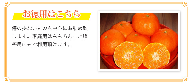 お徳用はこちら