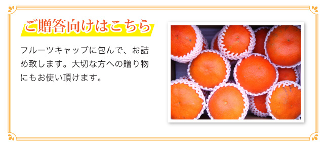 ご贈答向けはこちら