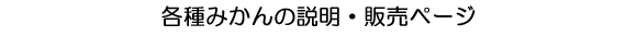 各種みかんの販売ページ