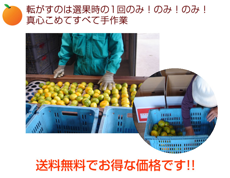 送料無料